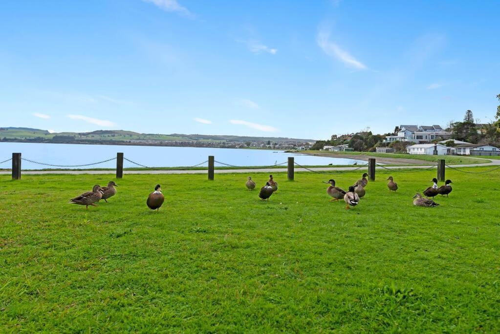 Waimahana - Luxury By The Lake Lago Lago Taupo Exterior foto